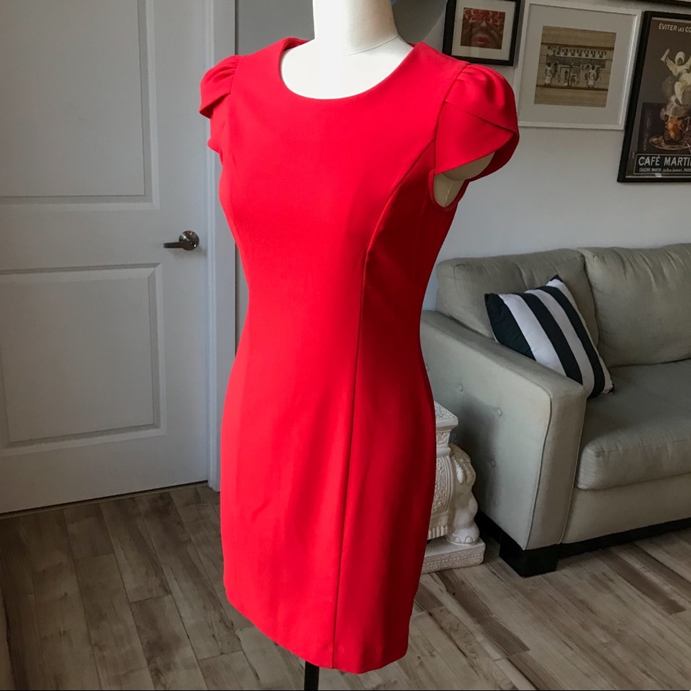 Lady in Red Dress
